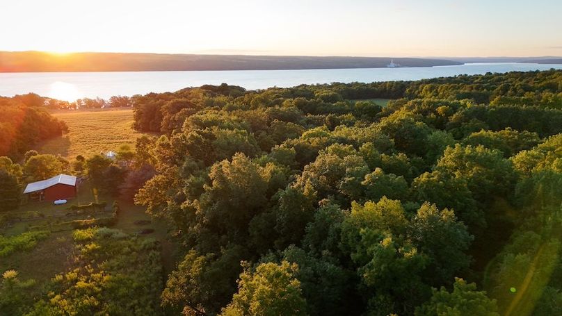 Seneca_65_Engels Photo 65