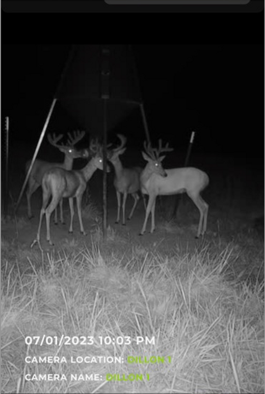 Screen Shot 2023-12-21 at 2.13.12 PM