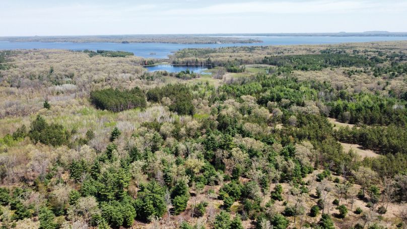 dji_fly_20230511_113806_439_1683838313127_photo_optimized