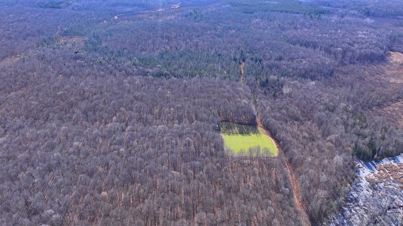 11DJI_20251113120458_0017_D