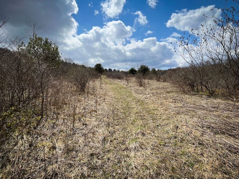 Tioga__NY_109.7_Burris_Photos_52