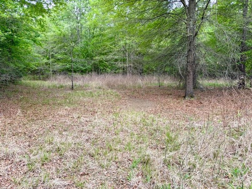 D816DCDA-C450-4050-B066-AE6A1F58970A_1_105_c