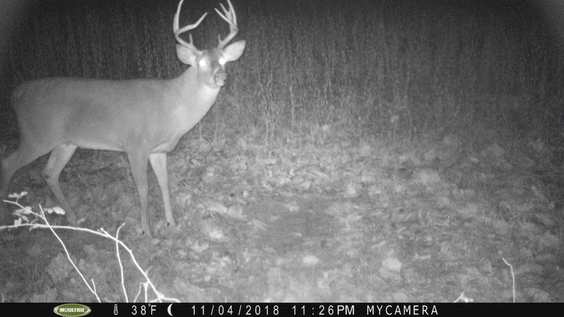 trail cam24