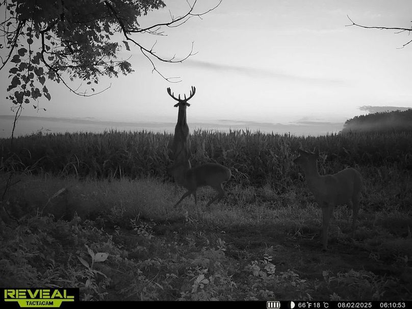 860322064549303-100-3-08022025090525-HD-SYEW0803