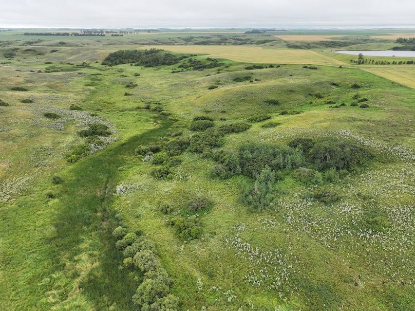 DJI_20250704133544_0611_D