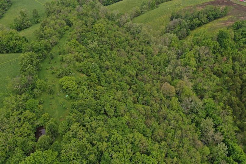 019 aerial drone shot from the middle of the property looking northwest over the west tract