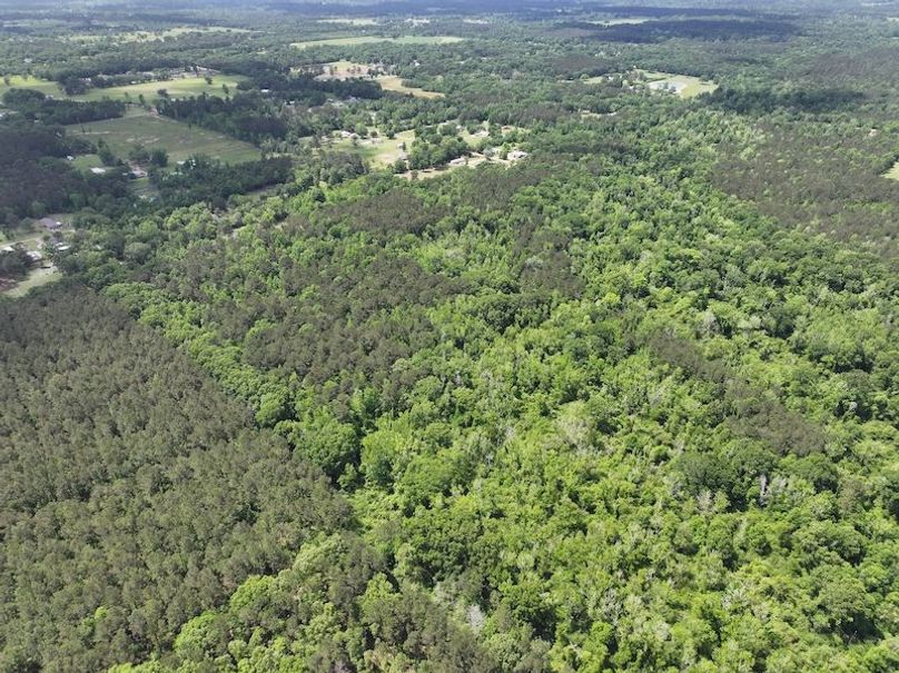 dji_fly_20260413_103544_0005_1776114945120_photo