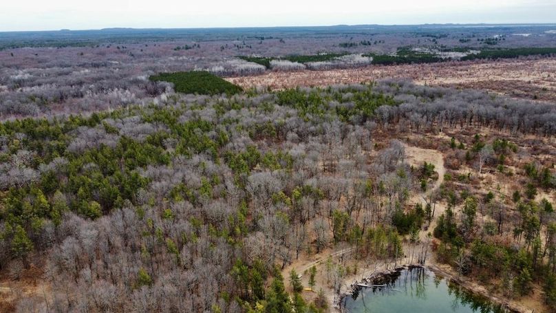 dji_fly_20250404_125952_738_1744067523216_photo_optimized 2