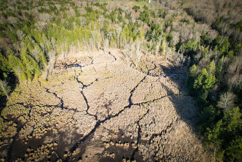 Oswego_17.88_Feld_Photos_42