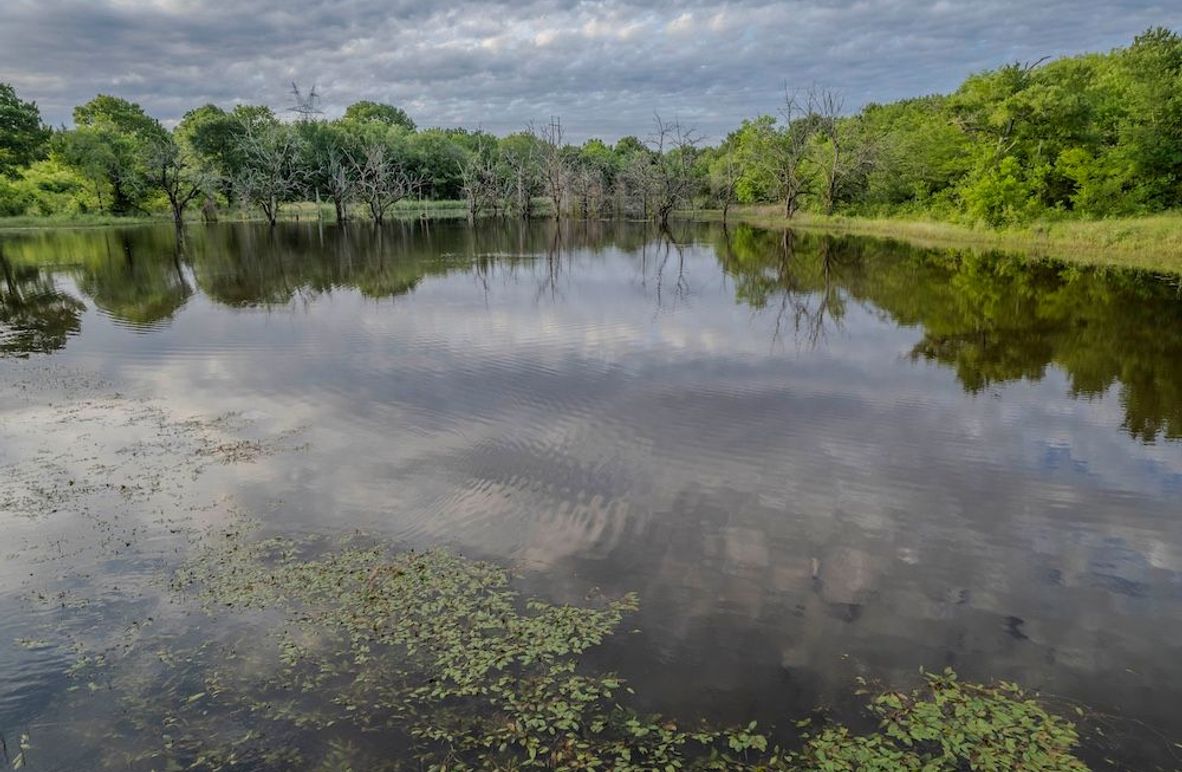 Fannin County- Pecan Ridge (4 of 53)