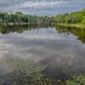 Fannin County- Pecan Ridge (4 of 53)