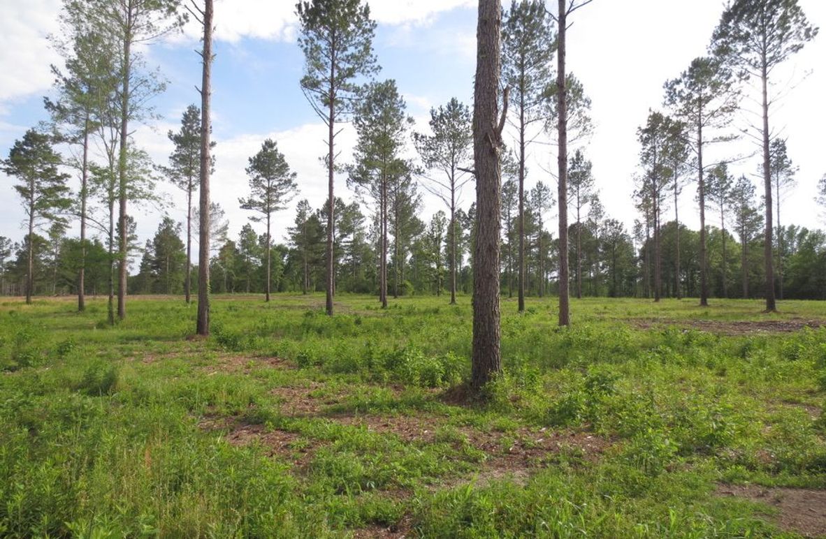 1C4C91F6-B9B3-4B54-8CD7-2A77CD0095C7_1_105_c