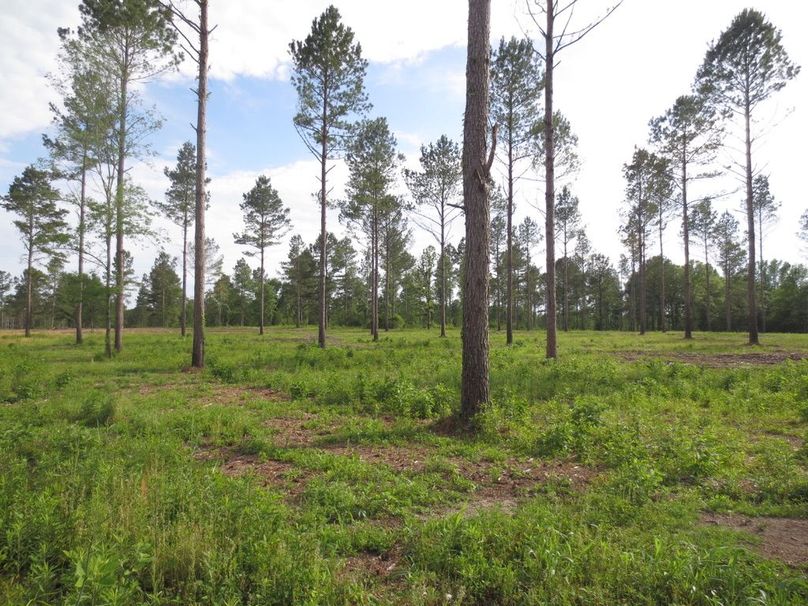 1C4C91F6-B9B3-4B54-8CD7-2A77CD0095C7_1_105_c