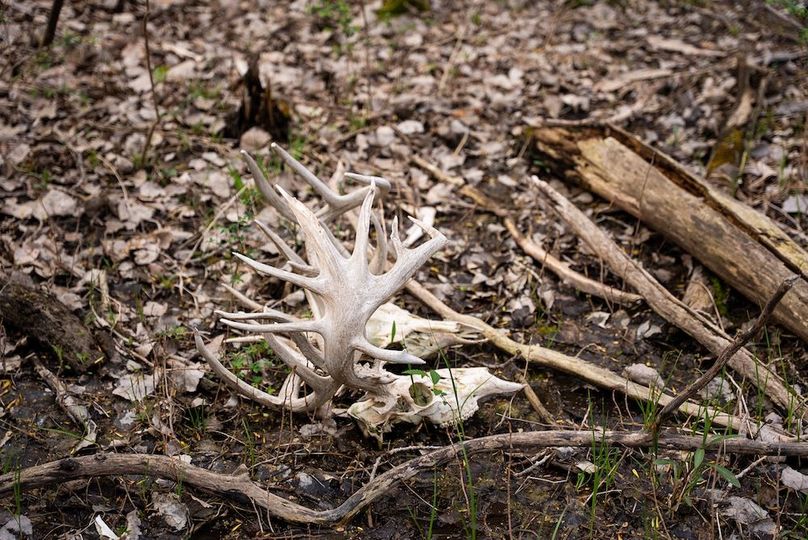 WabaunseeKansas887.39-168