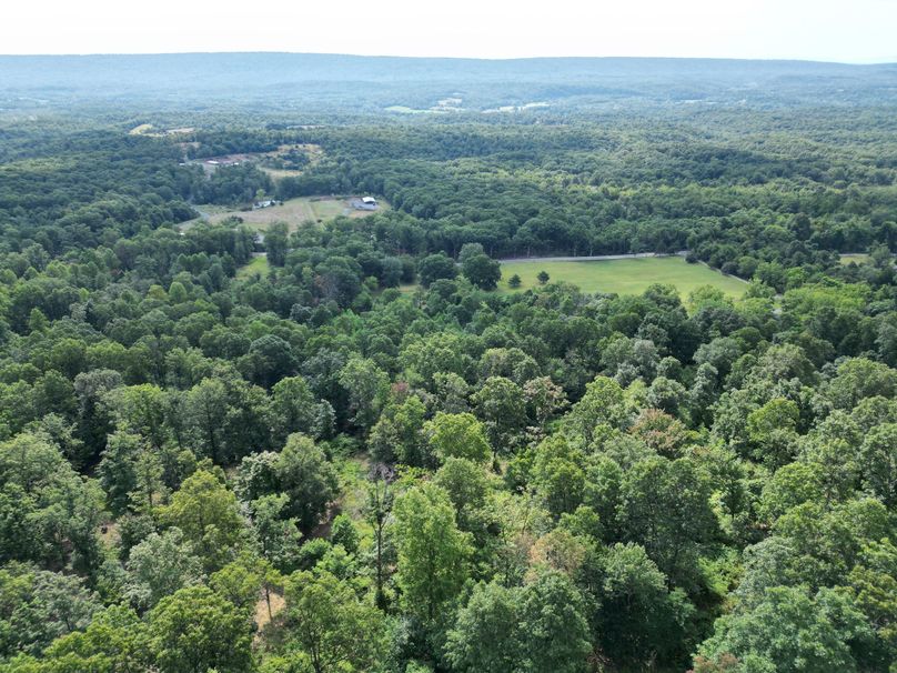 DJI_0215