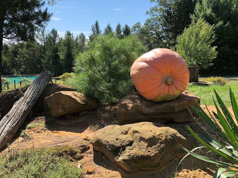 Monroe 68.2 - 41.6 of 120