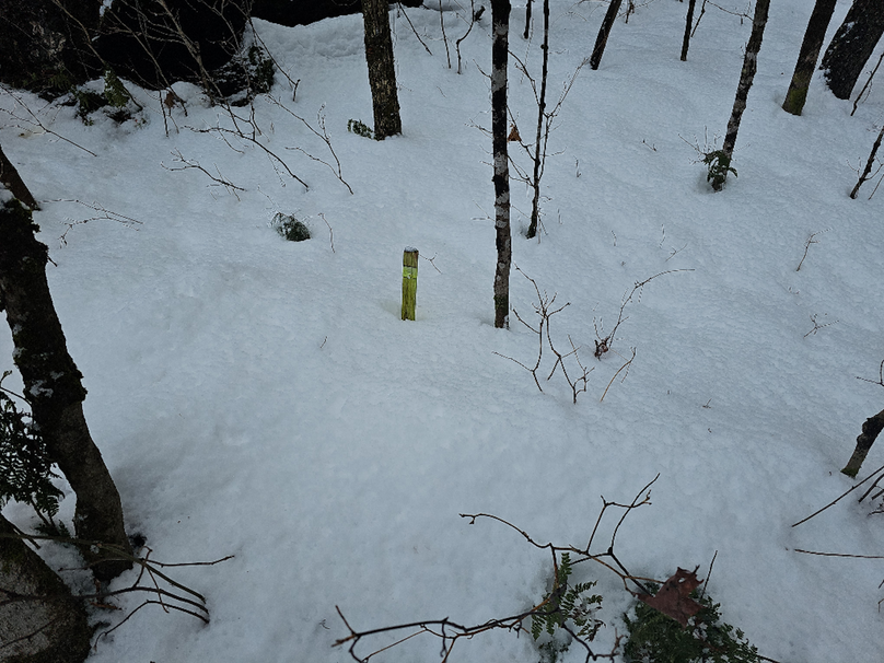 photo_19770cd6-8554-4cbb-a416-01ac0d0ecba6