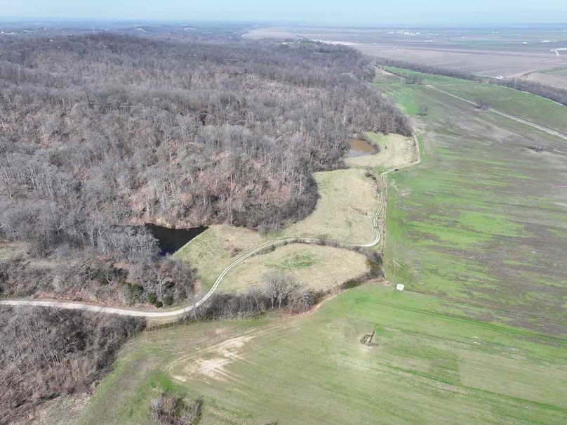 DJI_20260306175159_0565_D