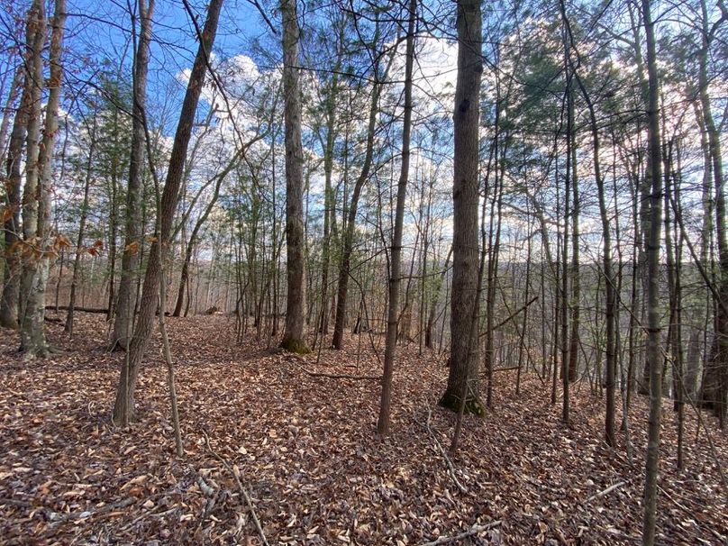 012 nice open forested bench in the middle area of the property