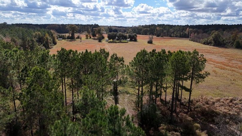 DJI_20251115015736_0870_D