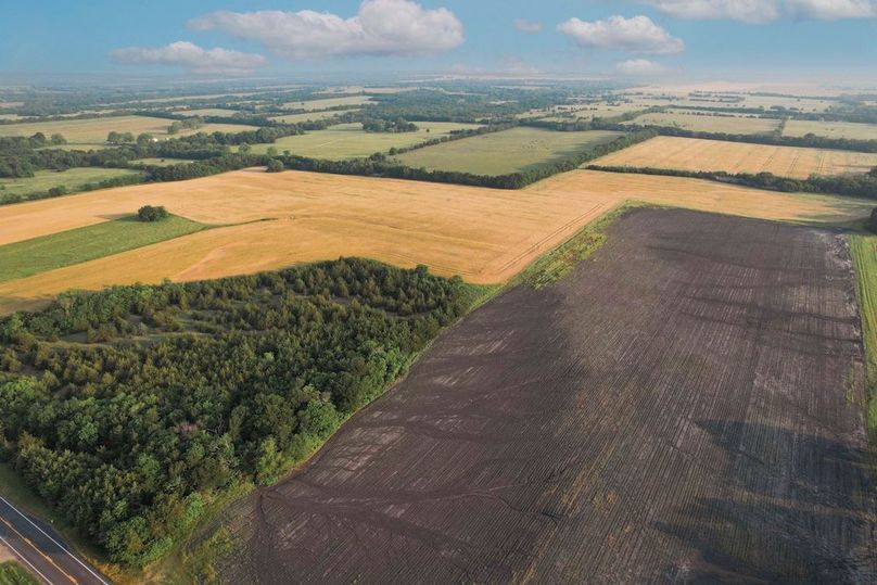 Lamar County- 92.66 Acres (2 of 29)