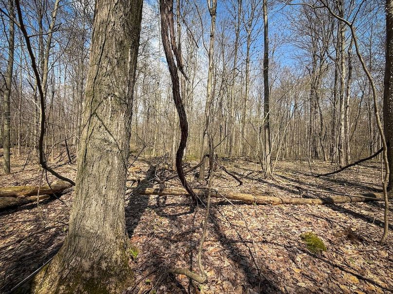 Cayuga_23.5_Demott_photos_20