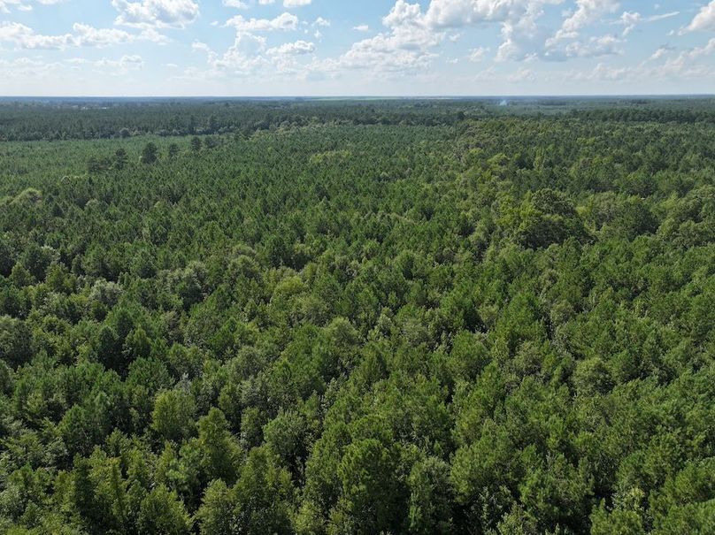 DJI_20240820163553_0010_D