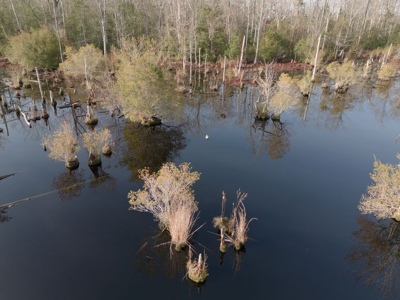 DJI_20240227082715_0017_craven60