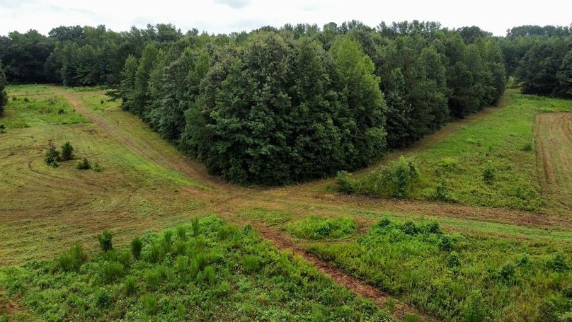 dji_fly_20250802_103016_589_1754145052834_photo_optimized