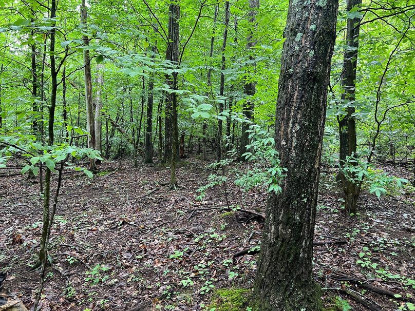 Wirt, WV 150.75 AC Tinnell-35