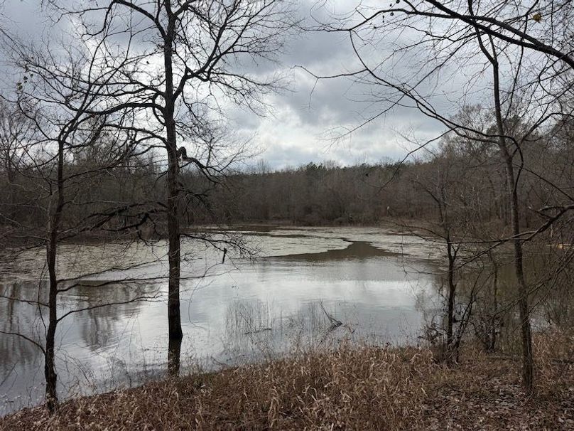 311 new20260217_0485