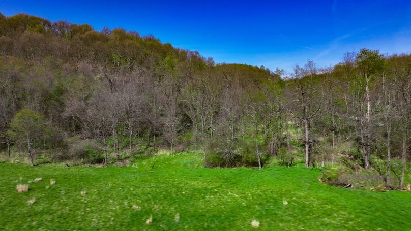 DJI_20250425035838_0398_D