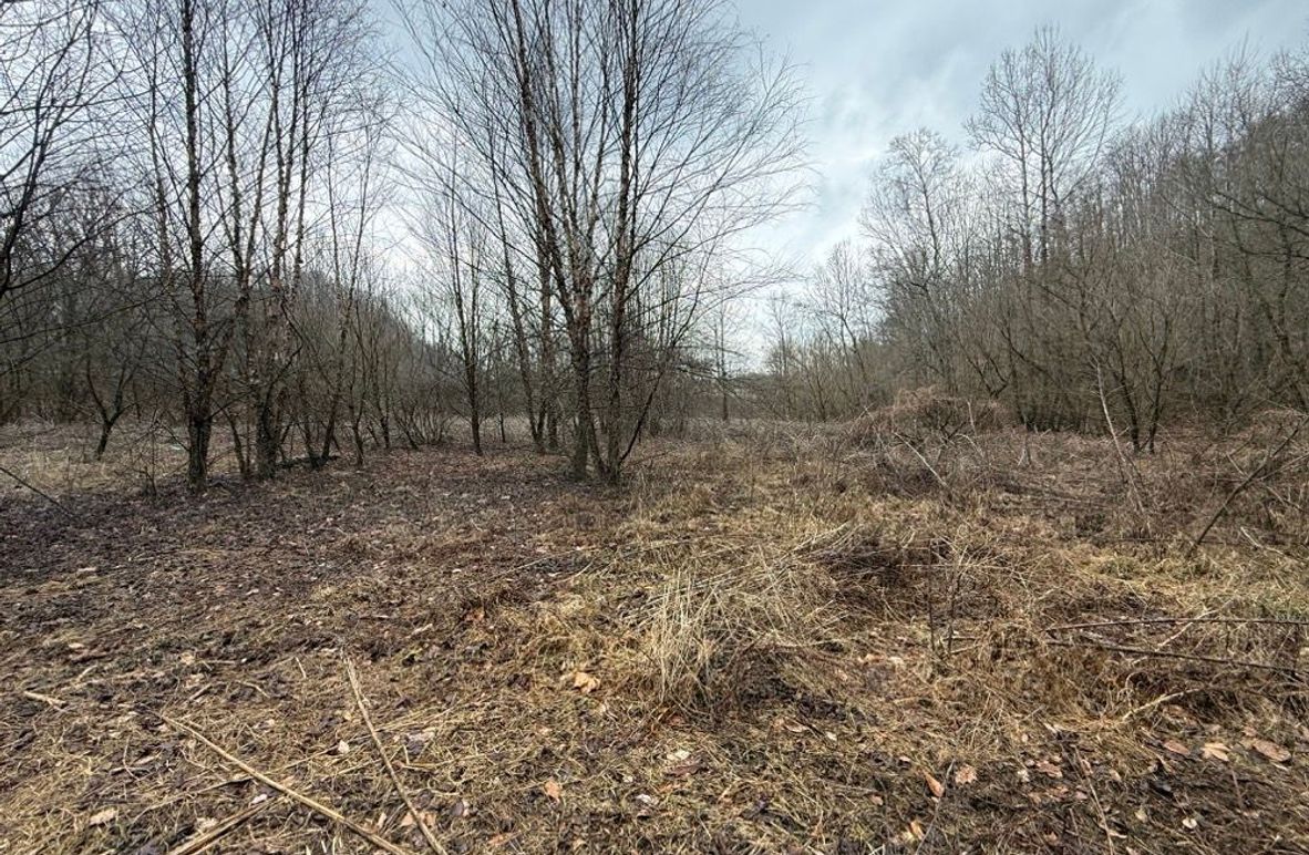 002 the flat creek bottom area in the north part of the property, perfect for a food plot or garden