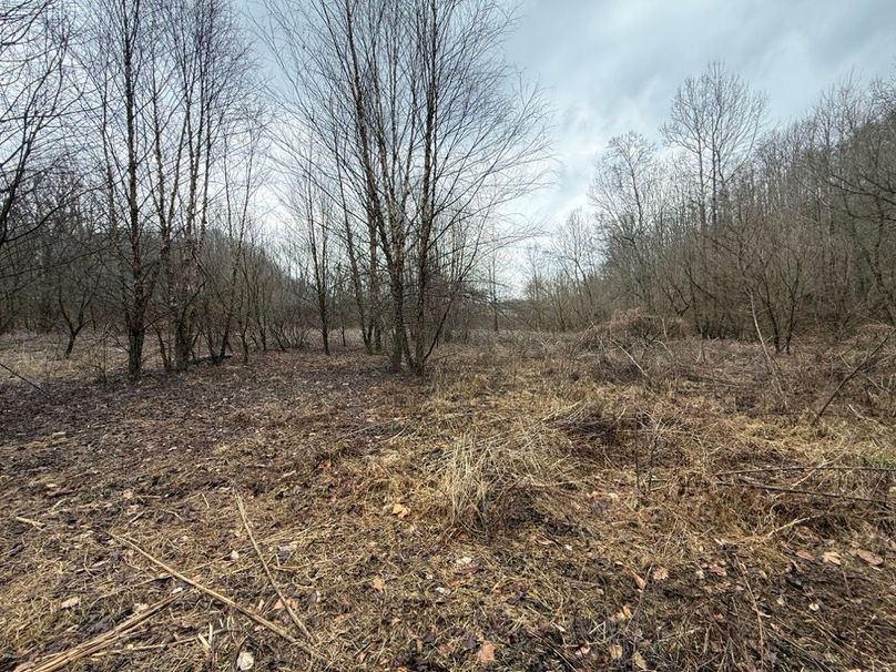 002 the flat creek bottom area in the north part of the property, perfect for a food plot or garden