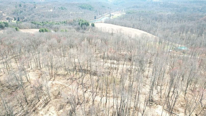 dji_fly_20250327_140252_108_1743098737345_photo