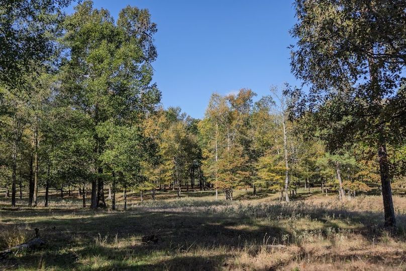 60 harrison 417ac pics-087