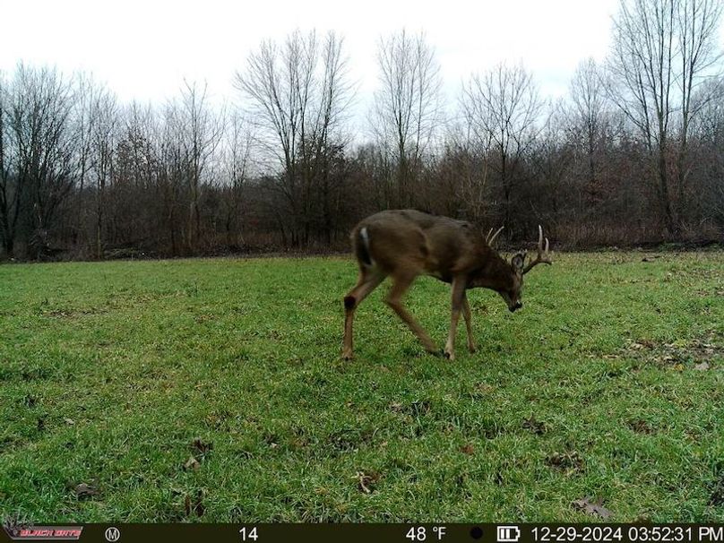 thumb-d6e807896b0d60b2e2884a0f0df2db7119c07b99 (1)