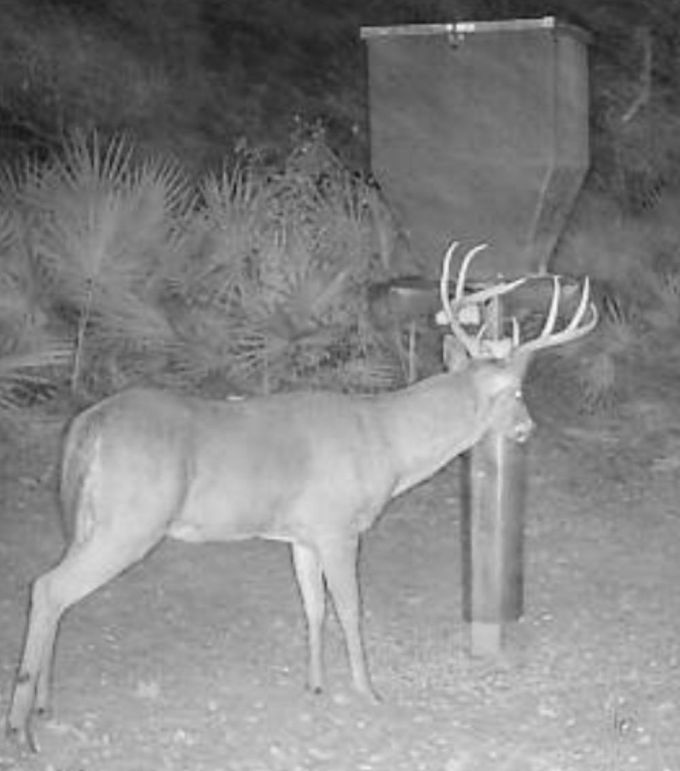 Resized_Screenshot_20231029_080920_Reveal_1721307660653