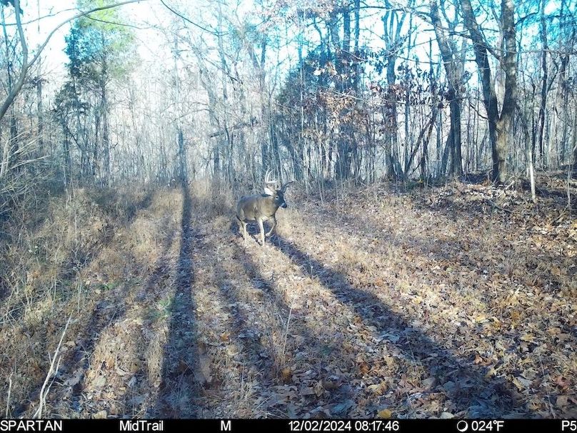 trail cam1