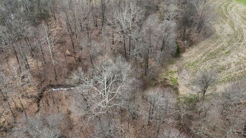 DJI_20260310121442_0114_D