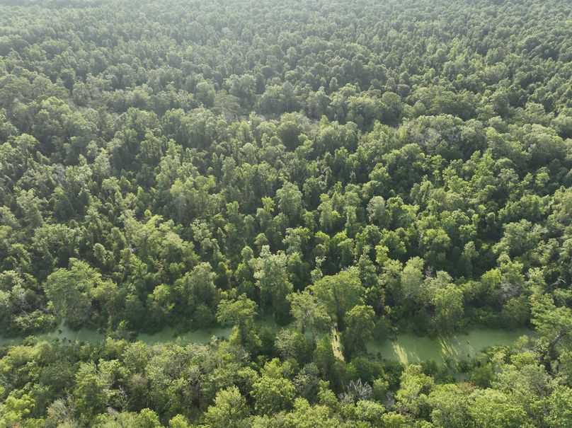 dji_fly_20230630_080752_194_1688137764663_photo