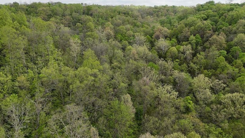 DJI_20250502104114_0473_D