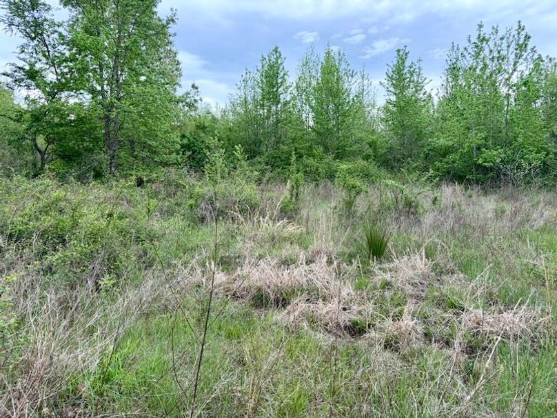 055A8615-8C55-476F-9975-B51ED571BD71_1_105_c