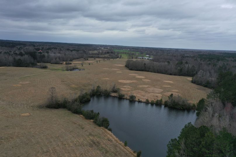 FB99EE29-C98B-4FF0-87EC-72D82FB41347