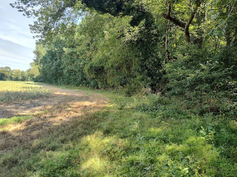 IMG_20250830_113157595_HDR