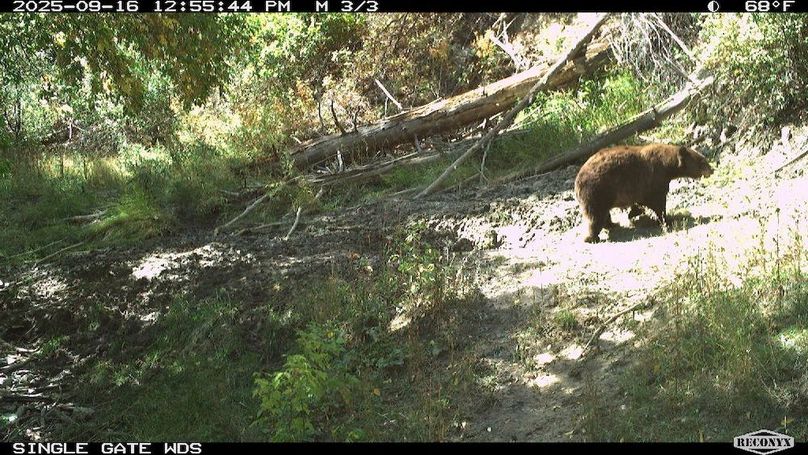 C29FA20E-5746-4033-AB04-6596B357DC52