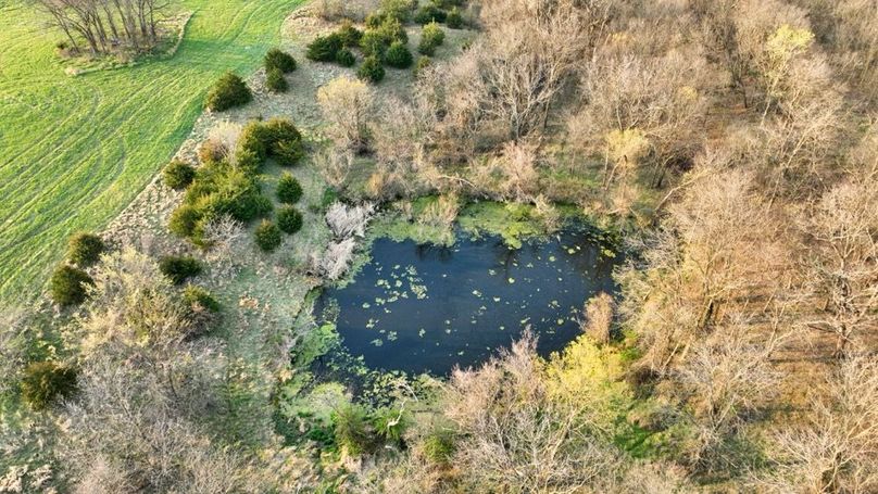 DJI_0300