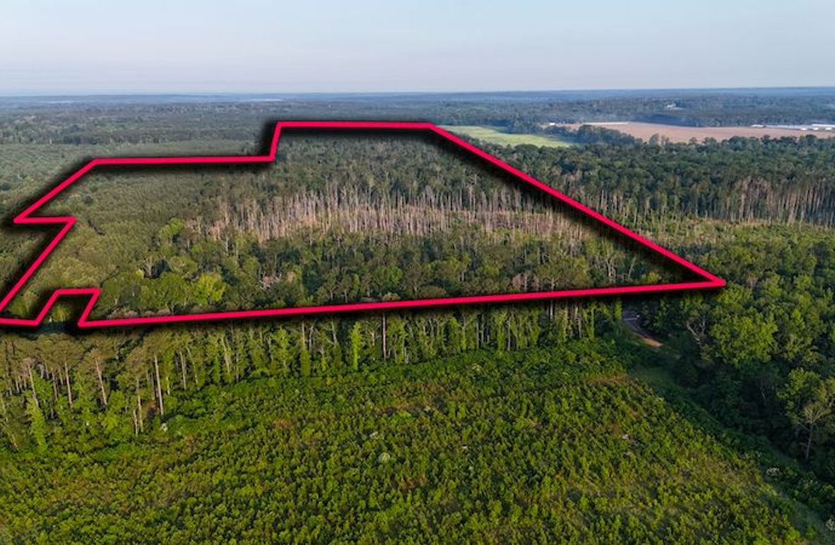 Copiah Co - 192 - Nutt-02