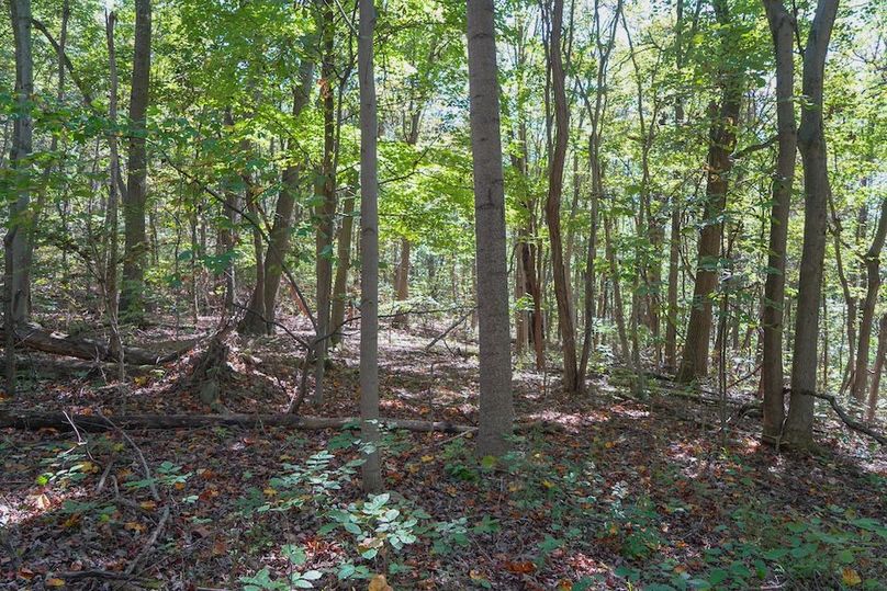 Fayette, 199, Hostetler-39