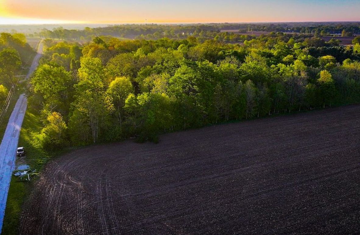 dji_fly_20260430_072524_0262_1777548731557_photo